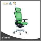 Green Full Mesh Modern Comfortable Headrest Desk Chairs