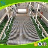 Pig Farming Galvanized Field Nursery Crates Sowing Bed