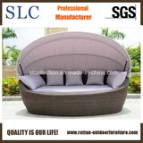 Rattan Wicker Round Lounge/Sun Lounge/Wicker Sun Lounger (SC-B7022)