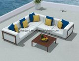 Aluminum+ Fabric Garden/Patio Furniture