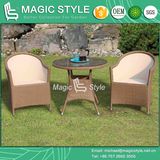 New Design Wicker Chair Sling Chair Textile Chair Rattan Chair Dining Chair Outdoor Furniture Patio Furniture Garden Furniture Modern Furniture Leisure Chair