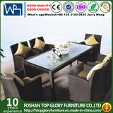 Rattan Outdoor Garden Furniture Set Patio Dining Table Chair Set (TG-1030)