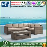 Outdoor Furniture Wicker Fashion Outdoor Leisure Sofa (TG-800)