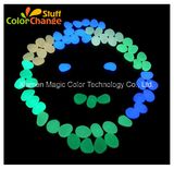 Color Series of Glow in The Dark Pebbles