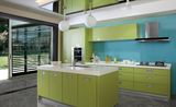 Pattern Acrylic Kitchen Furnitures (zv-025)