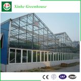 Polycarbonate Sheet/Plastic/Glass Green House for Vegetables/Garden