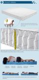 Pocket Spring Mattress/Soft Mattress/Bedroom Furniture