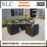 Garden Sofa Furniture/Antique Sectional Sofa / Furniture/Patio Furniture (SC-A7285)