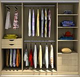 European Design Modular Wardrobe for Modern Furniture (Br-22-D)