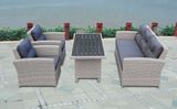 Garden Patio Rattan Outdoor Lounge Office Hotel Home Corner Sofa (J726-POL)