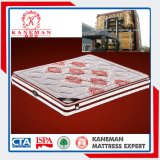 Healthy Latex Foam in The Pillow Pocket Spring Mattress with Elegant Cover
