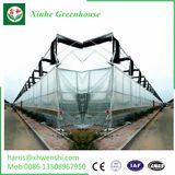 High Quality Agriculture Vegetable Garden Tomato Plastic Film Greenhouse Supplier