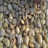 White Natural River Pebble Stone for Landscaping