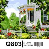 Arts Crafts Paintboy Coloring by Numbers for Home Decor