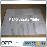 Elegant White Marble Stone for Tiles/Wall Cladding/Vanity Top