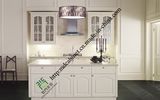 Simple PVC Kitchen Cabinet (zs-463)