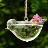 Hanging Glass Vase for Wedding Decoration with Rope