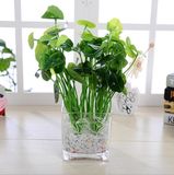 Wholesale Clear Glass Vase Tall Vase Home Decoration