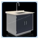 Floor Type Wall Mount Veterinary Lab Washing Table