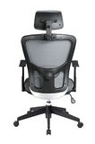 Modern Premium Office Executive or Conference Chair (PS-NL-5688-2-HLZ-BM)