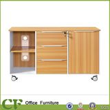 Hot Sales File Cabinet CF-S10309