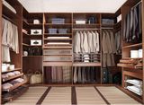 Best Sense Hot Sell Shoe Wardrobe