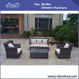 Garden Outdoor Wicker Rattan Sofa Set, Patio Furniture (J078)
