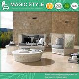 Morden Rattan Sofa Leisure Wicker Sofa Flower Weaving Sofa (Magic Style)
