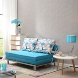 Special Functinal Fabric Sofa Bed for Living Room