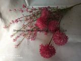 Artificial Flowers 100% Handmade for Home Decoration