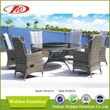 Restaurant Furniture Hotel Dining Set (DH-6113)