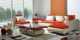 Living Room Genuine Leather Sofa (B-205)