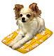 Microwave Heated Bed for Dog