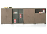 New Design High Qualitystorage Cabinet Bookcase (SZ-FC053)
