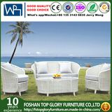 Outdoor Rattan Sofa/PE Rattan Sofa Set/Modern Sofa Set (TG-1503)