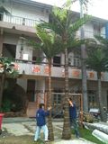 Good Quality Outdoor Wholesale Artificial Palm Tree for Garden Decoration