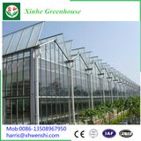 Fish Greenhouse