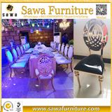Furniture Modern Stainless Steel Oval Dining Chair with High Quality