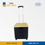 Fashion Colorful Folding Shopping Trolley