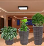 Galvanized Flower Pot PE Rattan Flower Rack Rattan Furniture