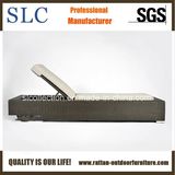 Rattan Lounge / Wicker Lounge / Outdoor Lounge (SC-B8869)