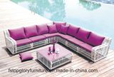 Open Weaving Modern Sofa Garden Furniture (TG-004)
