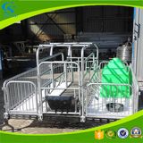 Pig Farming Nursery Crates Pig Sowing Bed