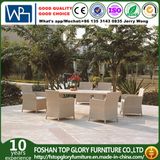 Garden Wicker Rattan/Patio Dining Sets for Outdoor Furniture (TG-JW48)