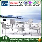 Garden Furniture Outdoor Rattan Dining Table Set with Cushion (TG-1216)