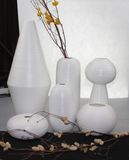 Modern Design Ceramic Vase for Home Decoration