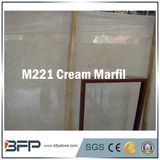 Cream Natural Stone Marble/Granite/Onxy for Background/Wall Cladding