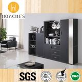 New Popular Commercial Office Bookrack with Door (G10)