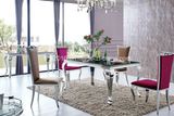 2016 Modern Stainless Steel Glass Dining Furniture (SJ813)