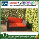 Hot Sale PE Rattan Outdoor Furniture Garden Sofa